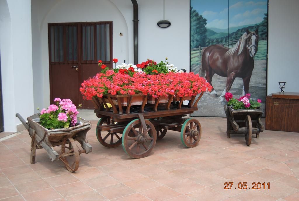 La Pioppa Agriturismo Sacile Dış mekan fotoğraf
