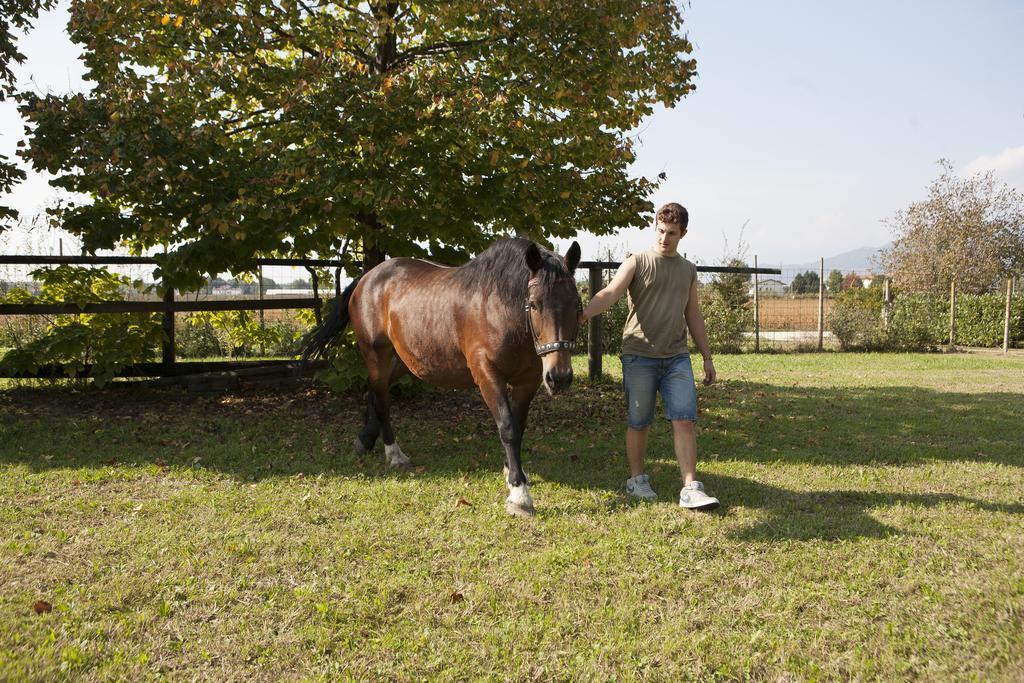 La Pioppa Agriturismo Sacile Dış mekan fotoğraf
