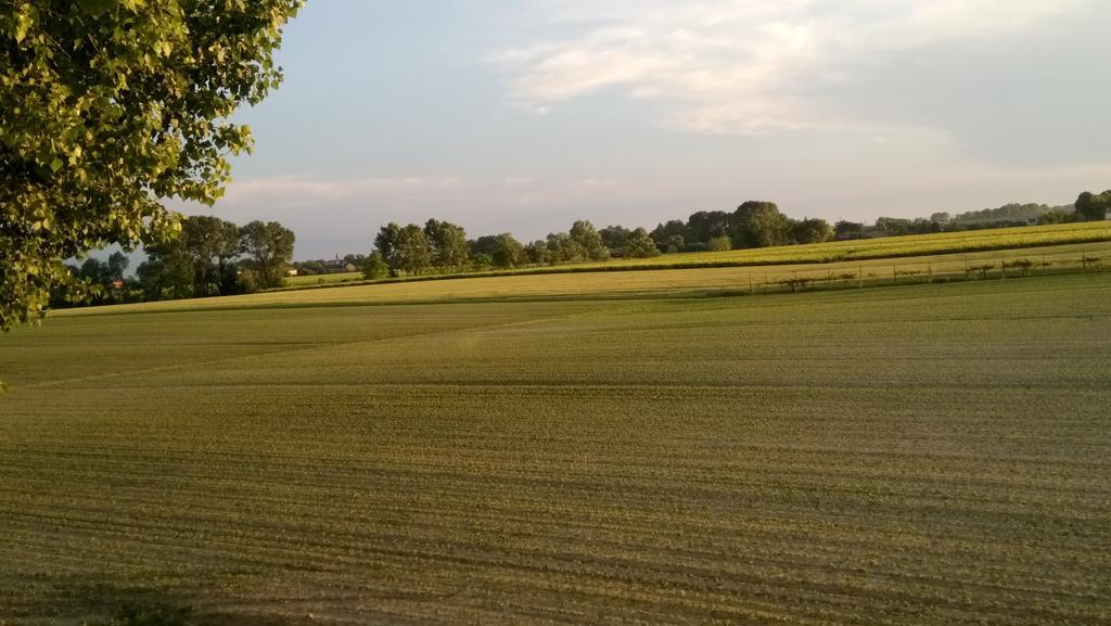 La Pioppa Agriturismo Sacile Dış mekan fotoğraf