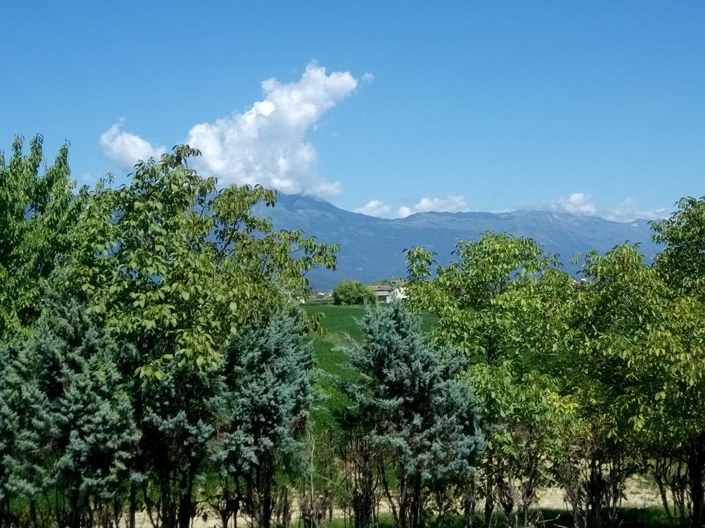 La Pioppa Agriturismo Sacile Dış mekan fotoğraf